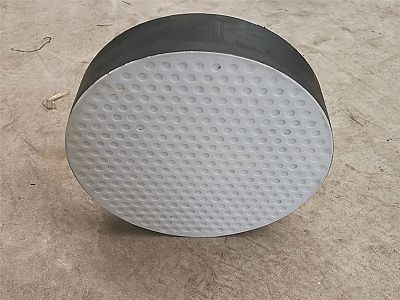 龙泉市四氟板式橡胶支座易于更换缓冲隔震